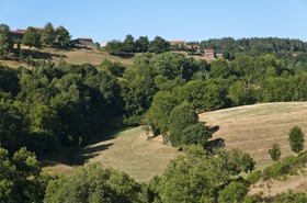 Vallon boisé et maisons d village au sommet de la pente. - Wooded valley and village houses at the top of the slope.