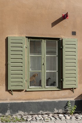 Fenêtre et chevaux de bois