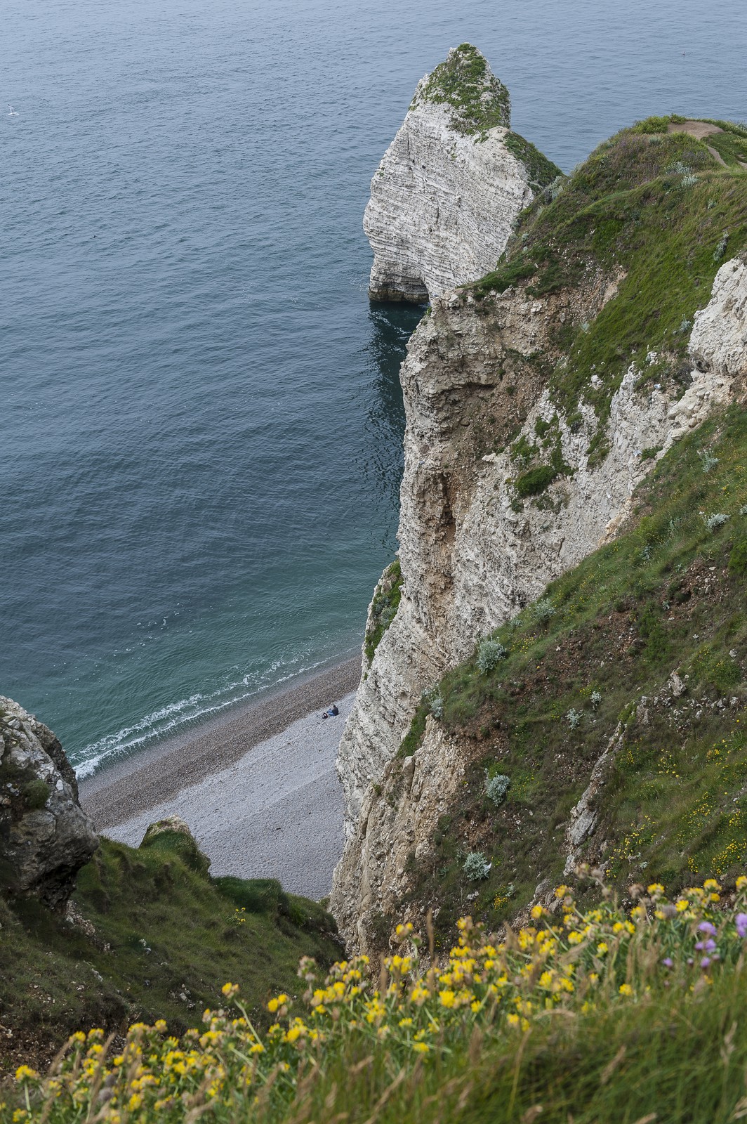 Les falaises d'Etretat