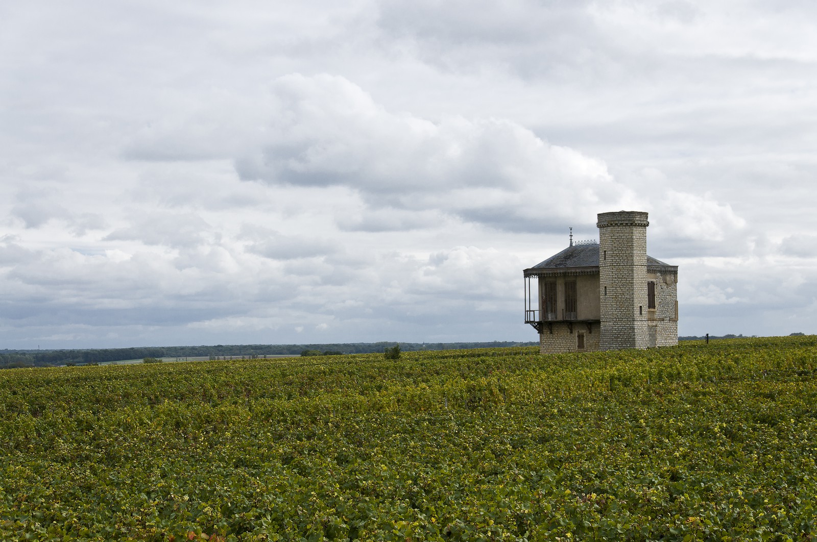 Vignoble du Clos de Vougeot