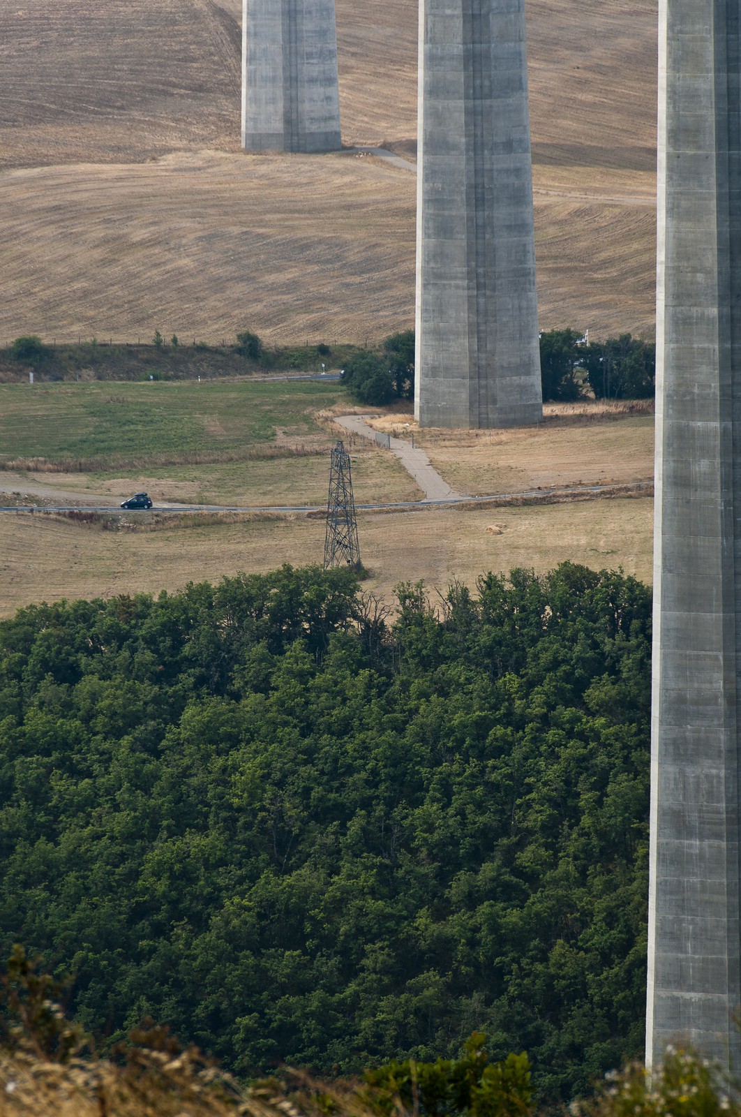 Viaduc de Millau