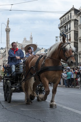 TransHumance : une charrette