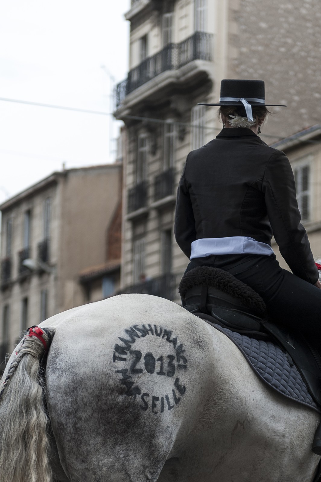 TransHumance : le cheval tatoué