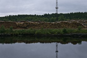 Grumes sur les berges du Svir