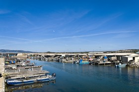 Ecaillers à Port-Leucate
