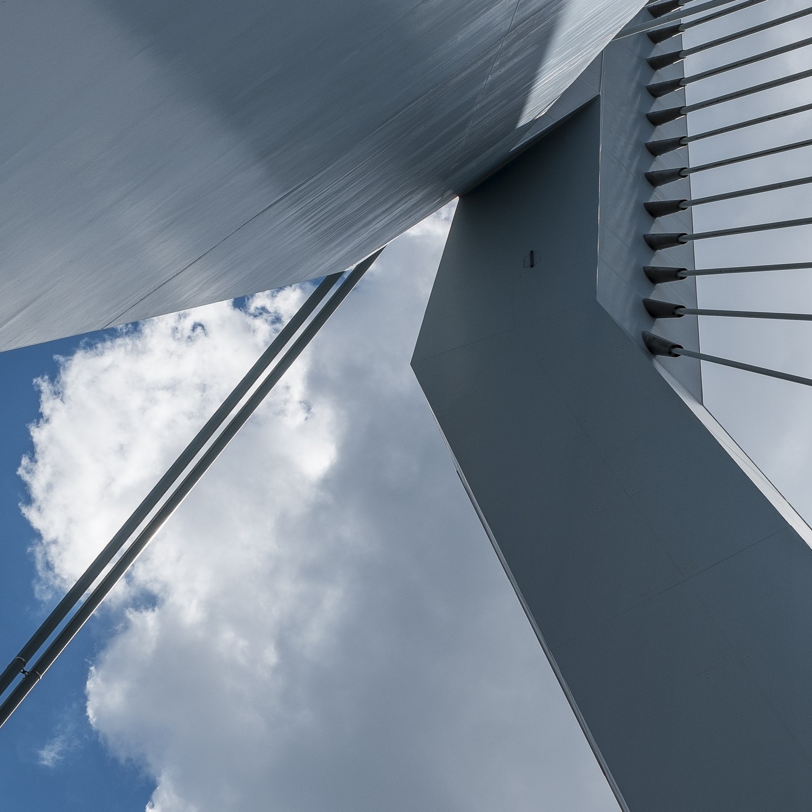 Le pont Erasme (Erasmusbrug)