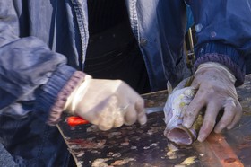 Marché aux poissons