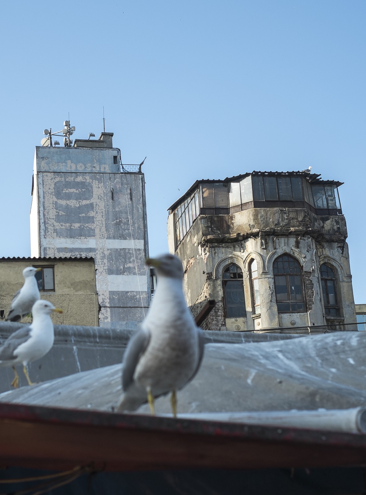 La maison aux goélands