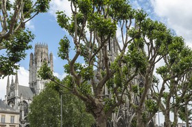 Eglise abbatiale Saint-Ouen