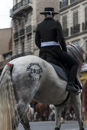 TransHumance : le cheval tatoué