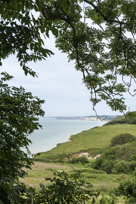 Falaises de Varengeville
