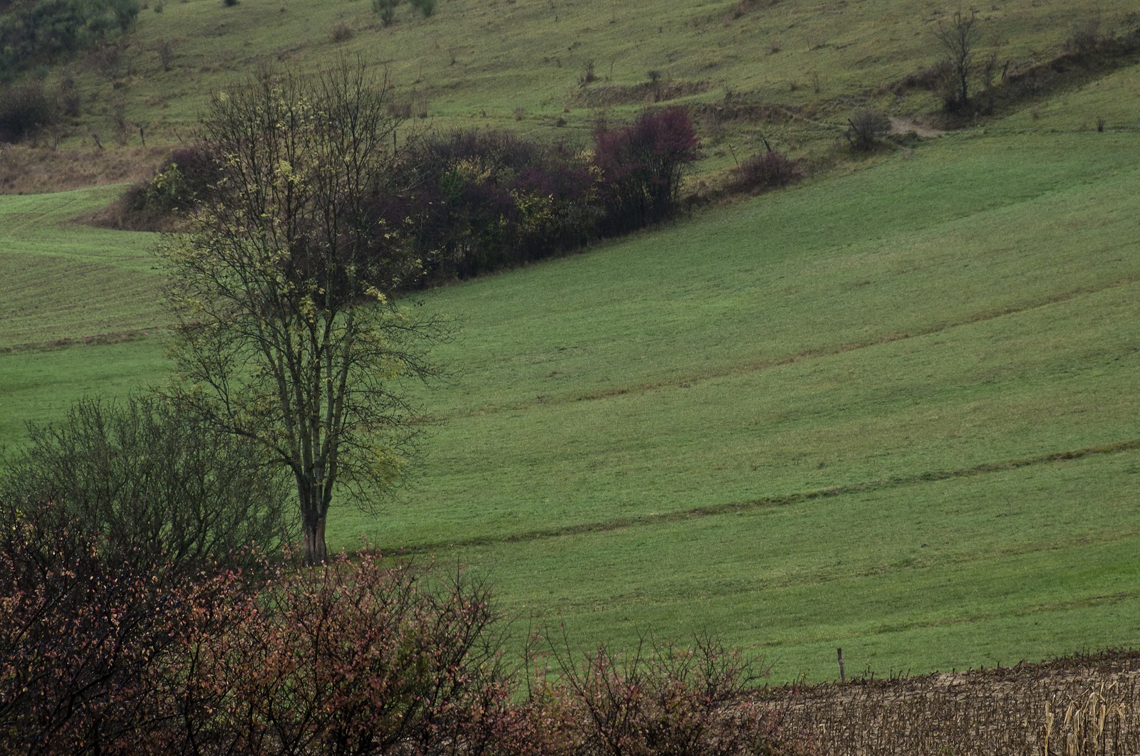Paysage en Ariège
