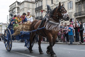TransHumance : les Provençaux