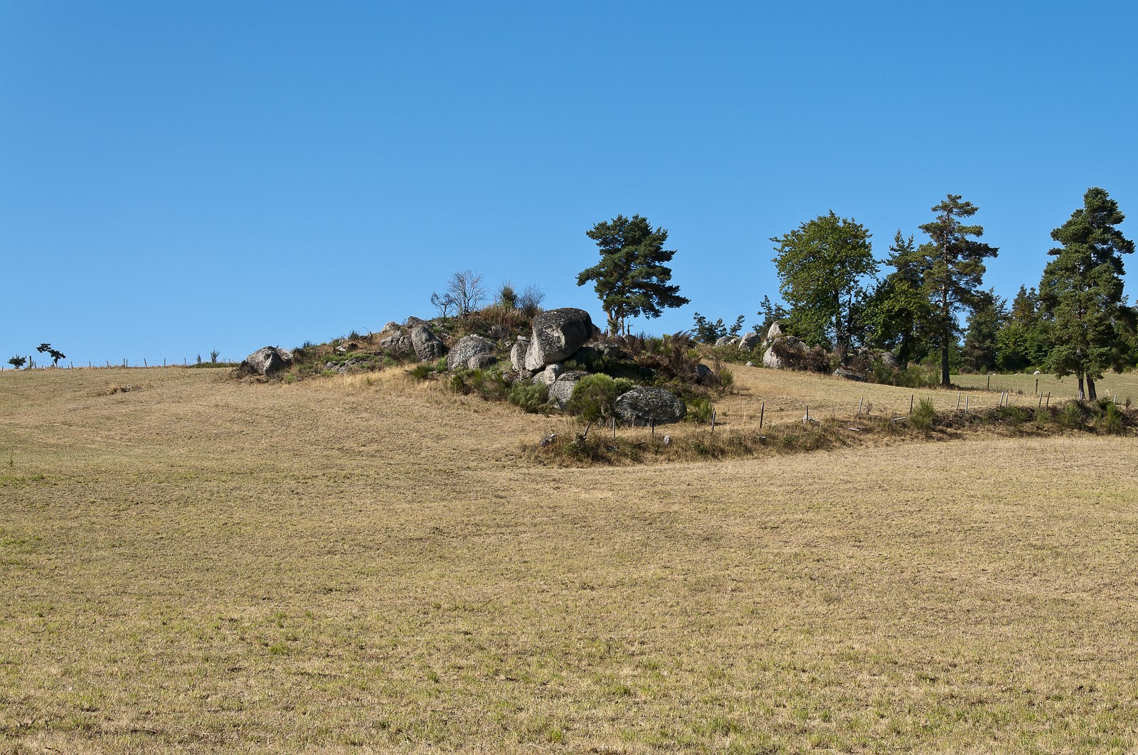 Paysage de Haute-Loire