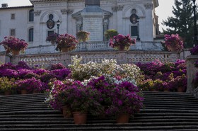 Escaliers de la Trinité des Monts