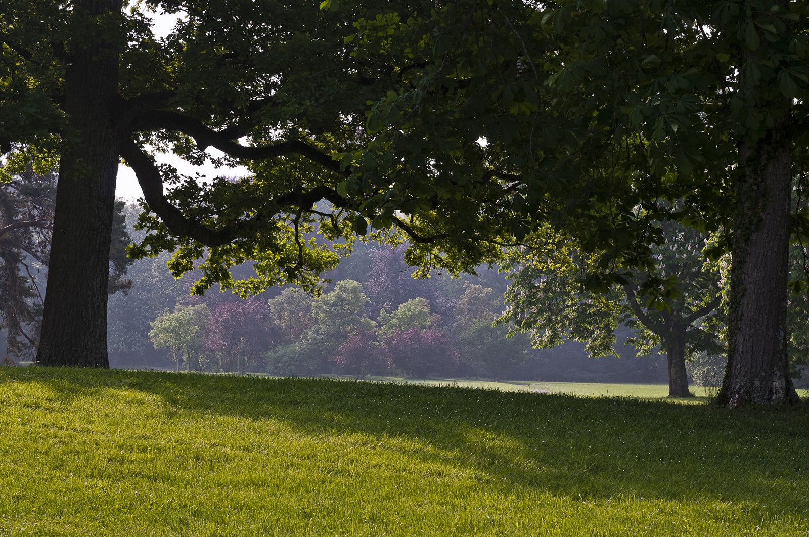 Château de Chaumont, le parc
