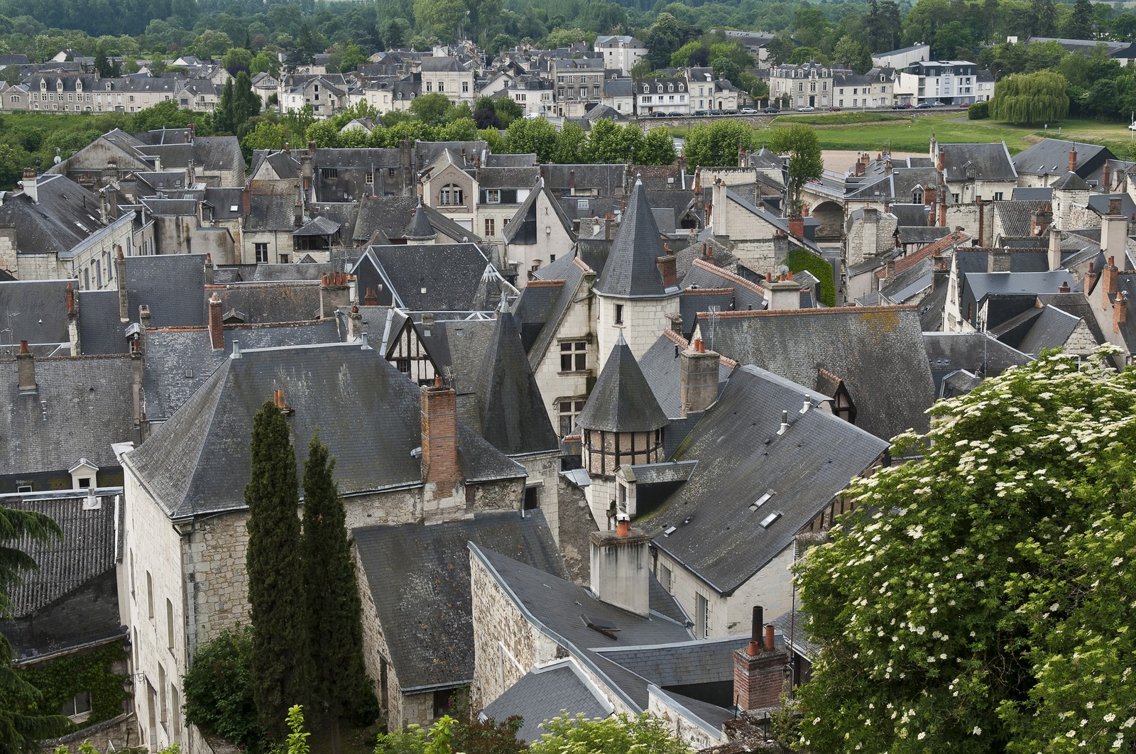 Toits de Chinon