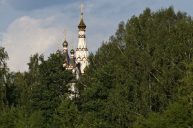 Eglise entre les arbres