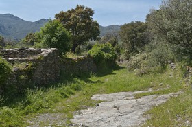 Cimetière d'Erbalunga