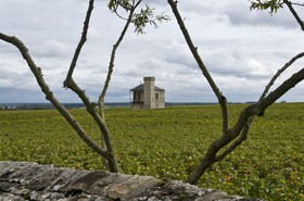 Vignoble du Clos de Vougeot