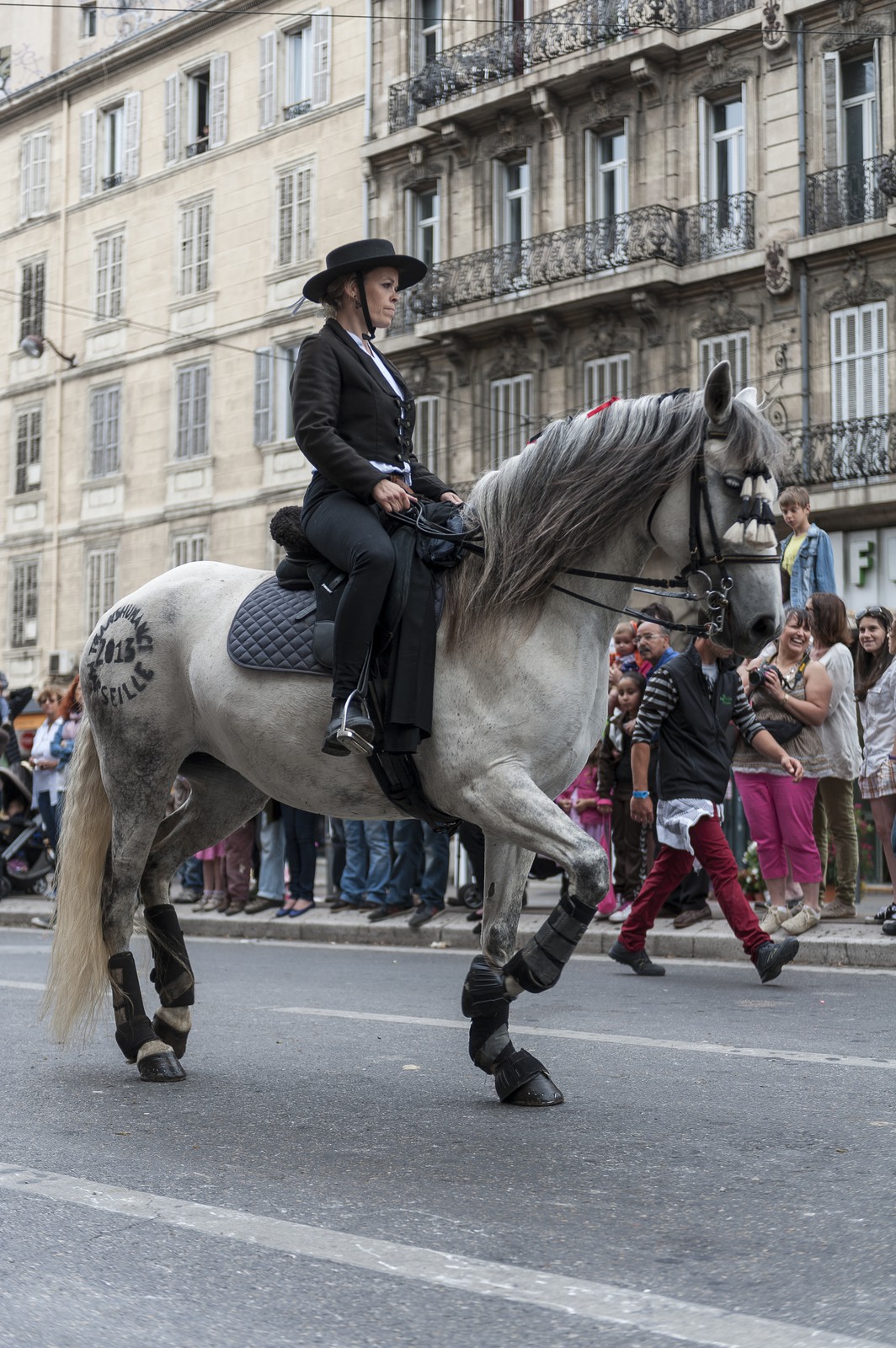 TransHumance : le cheval tatoué