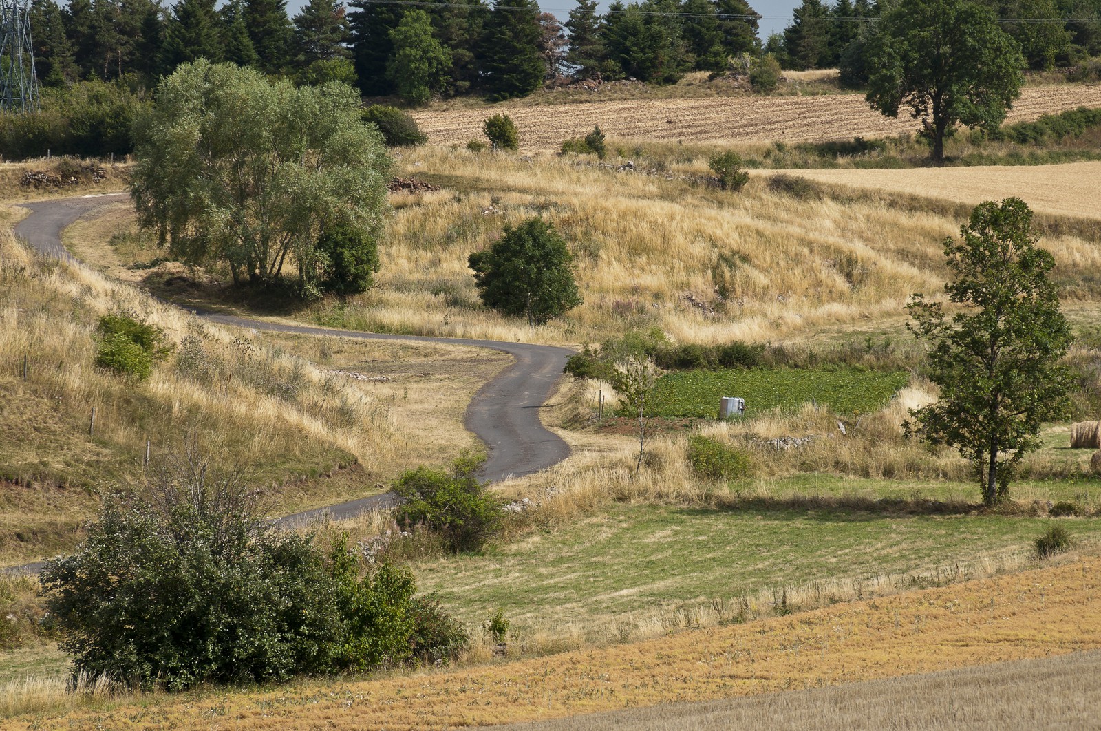 Paysage du Gévaudan