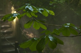 Château de Chaumont, le parc