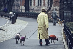 Promenade à central Park