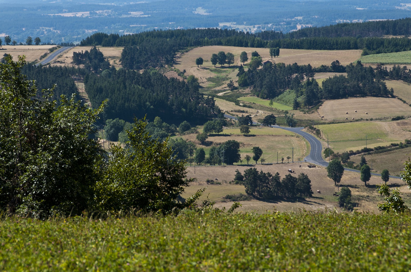 Paysage de Haute-Loire