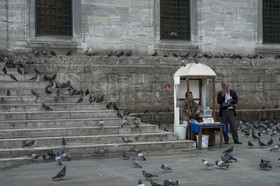 Le parvis aux pigeons