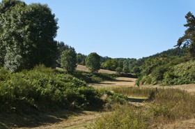 Paysage de Haute-Loire