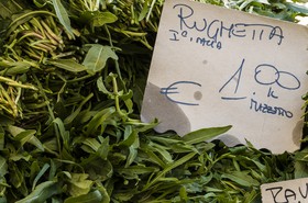 Roquette