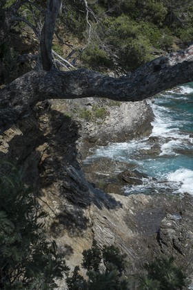 Jardin des Méditerranées