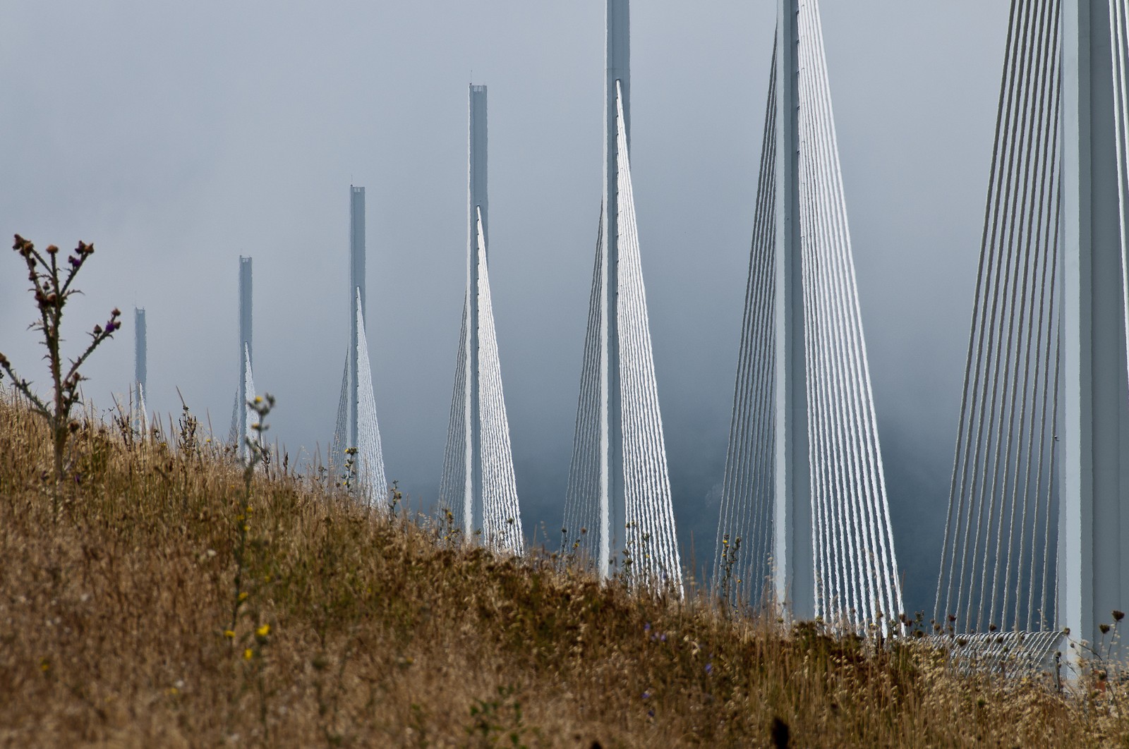 Viaduc de Millau