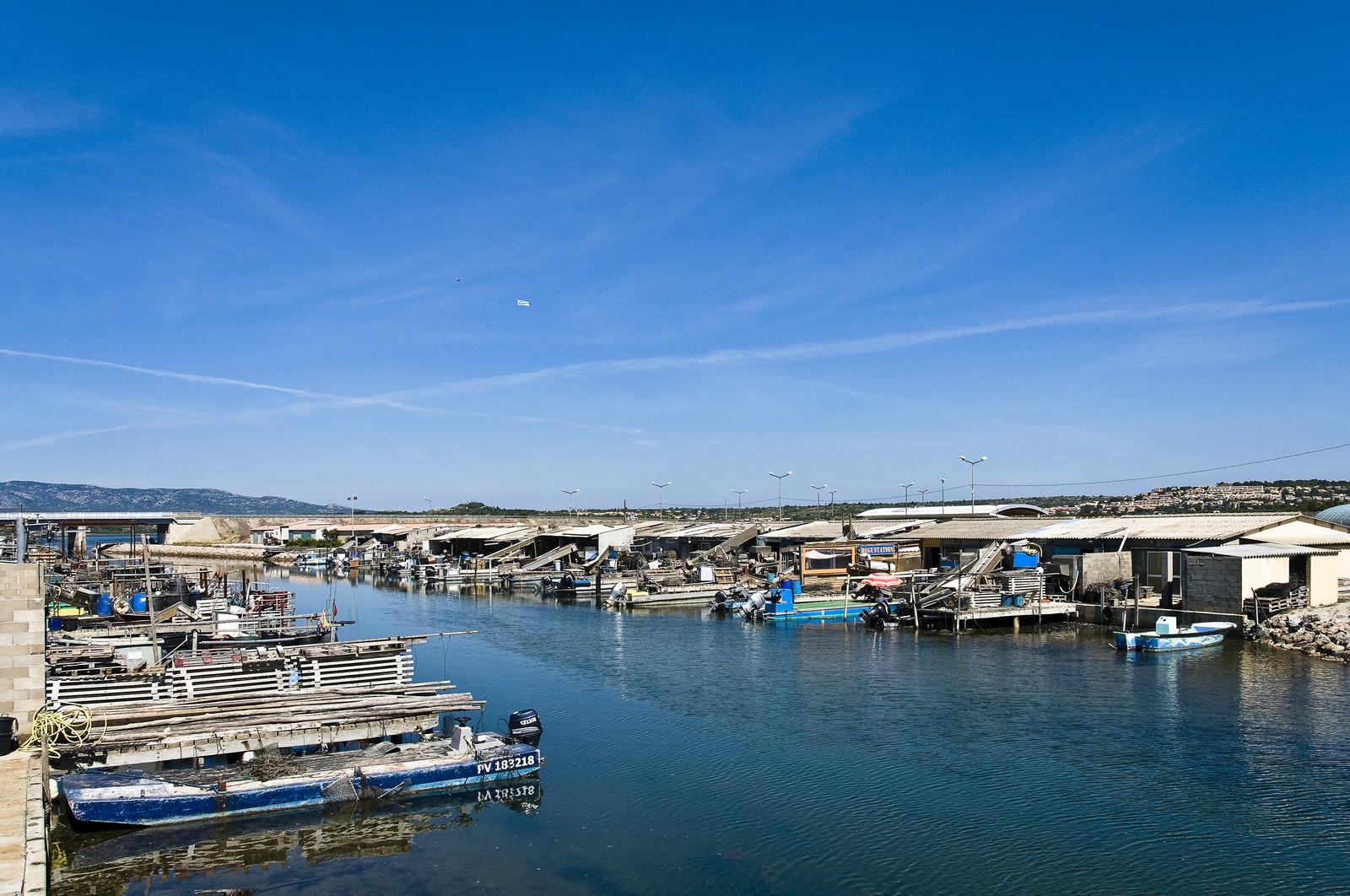 Ecaillers à Port-Leucate